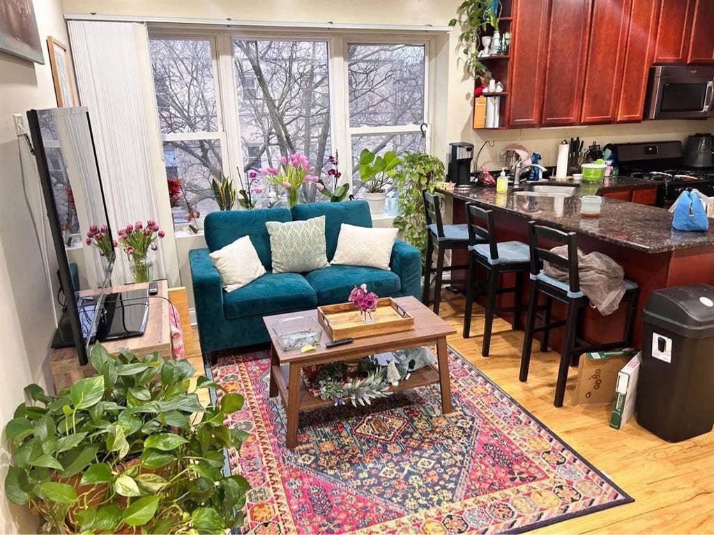 Spacious room for rent