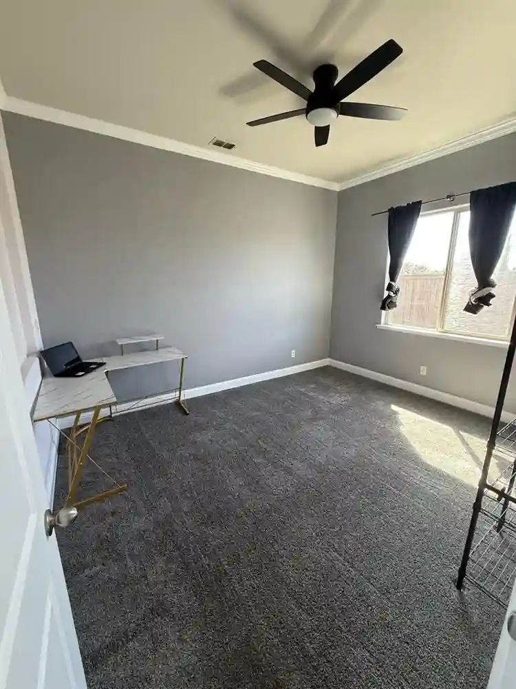 Downstairs living area for rent