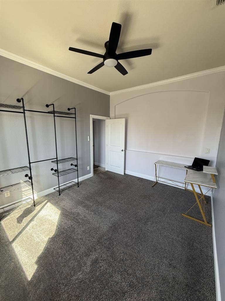 Downstairs living area for rent