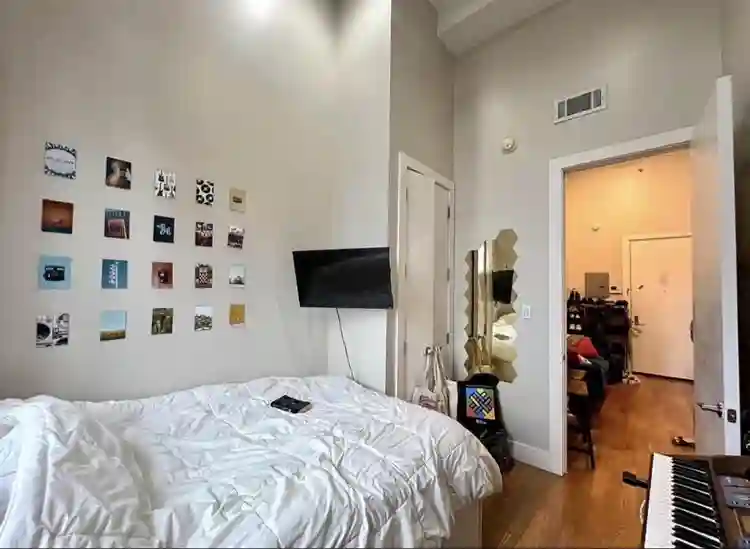 Furnished apartment in crown height