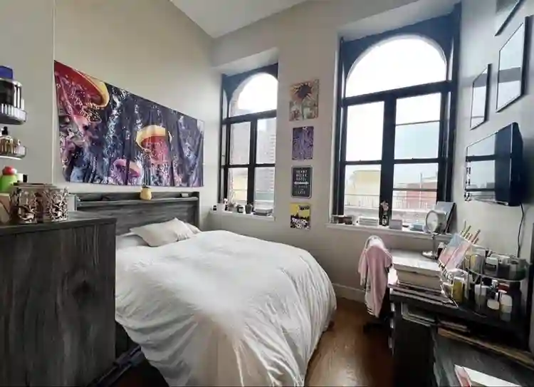 Furnished apartment in crown height