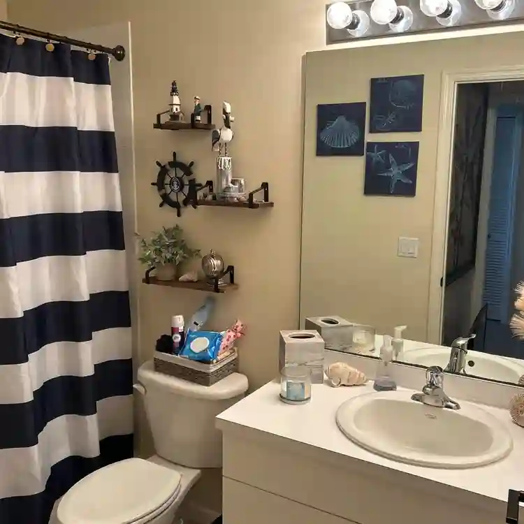Roommate wanted move in ready