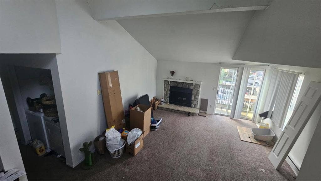 New Roommate Wanted