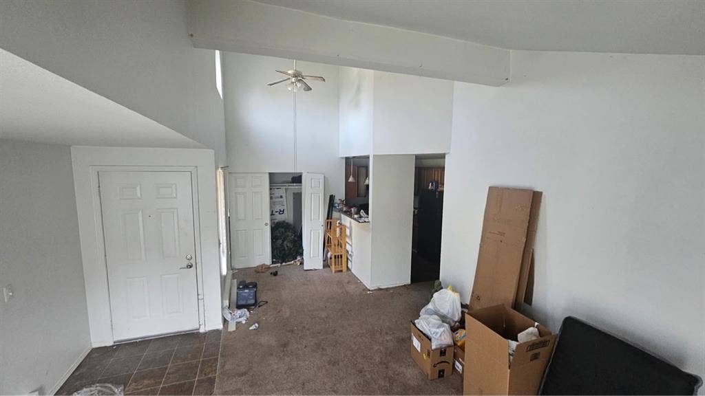 New Roommate Wanted