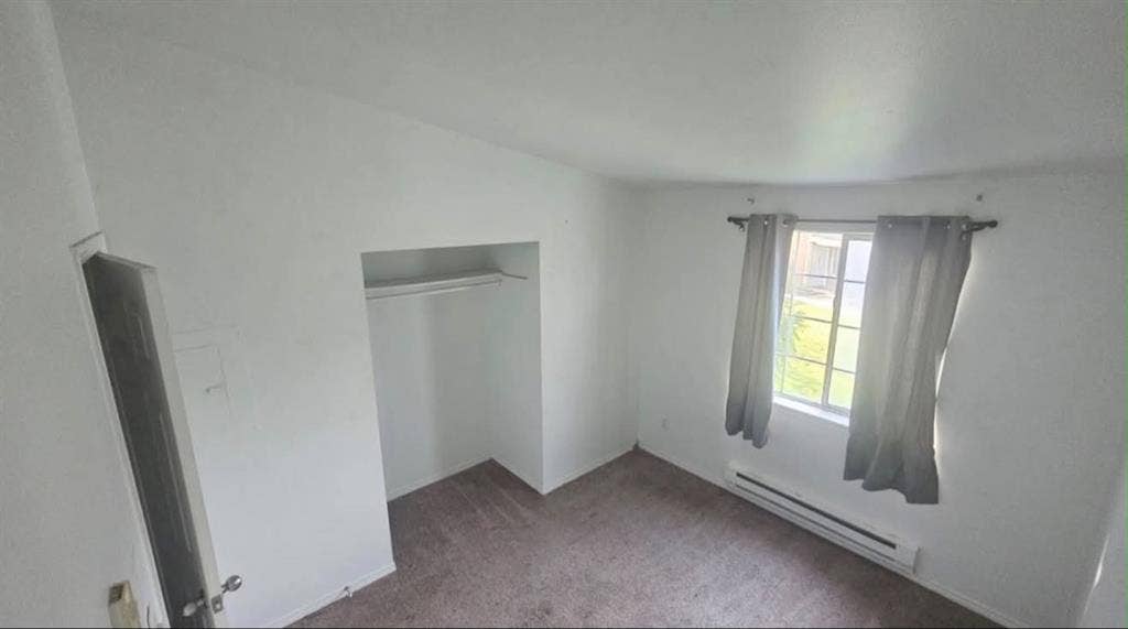 New Roommate Wanted