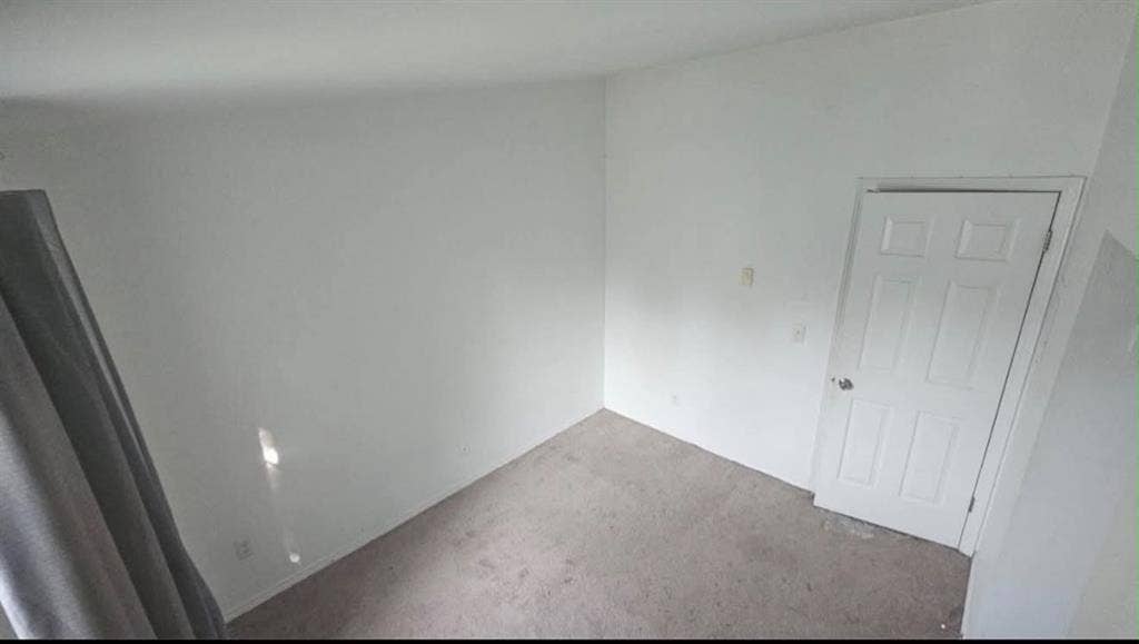 New Roommate Wanted