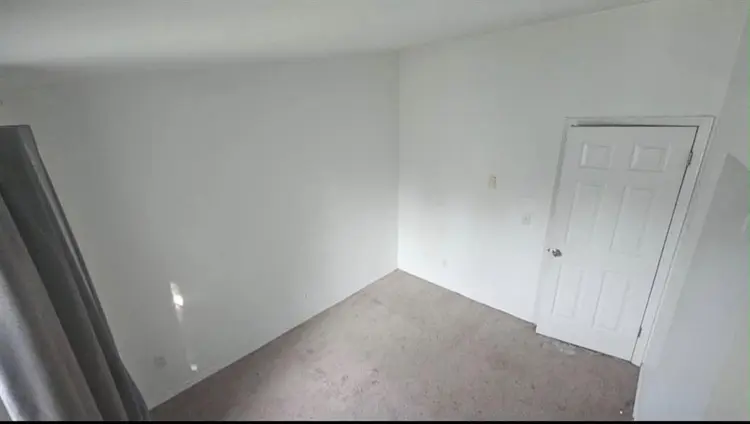 New Roommate Wanted