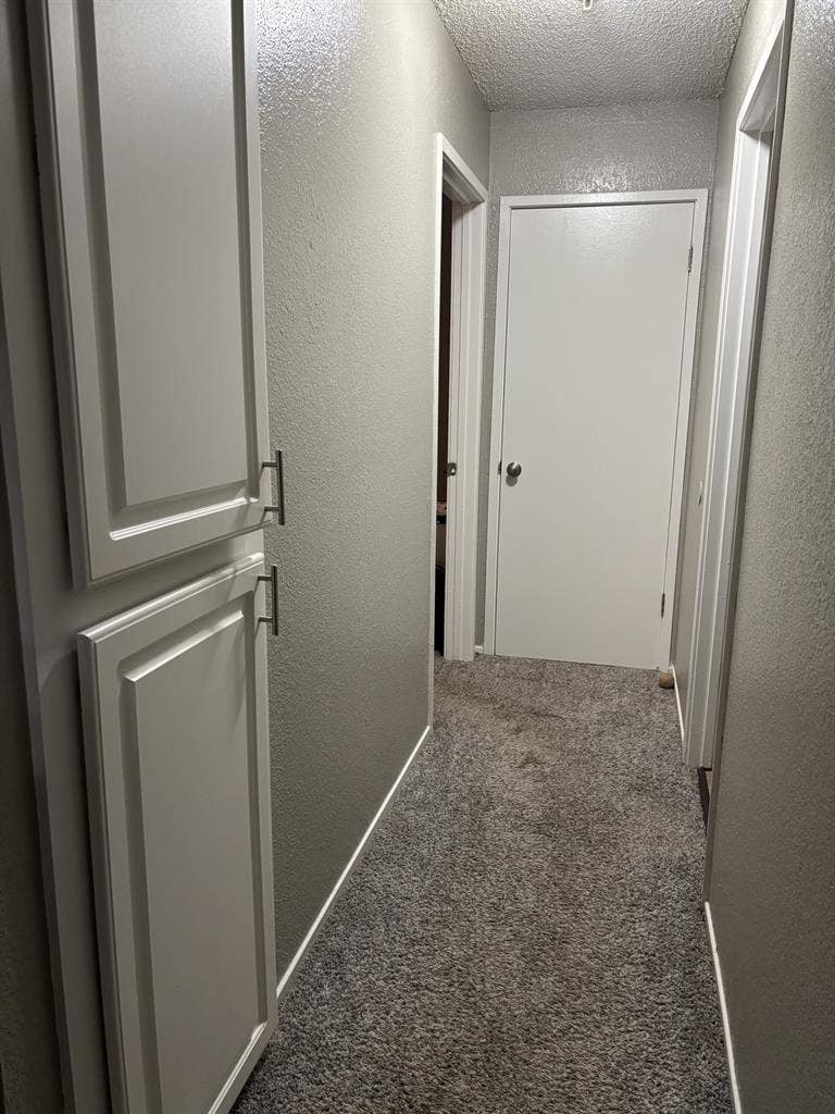 1 bedroom 1 bath available