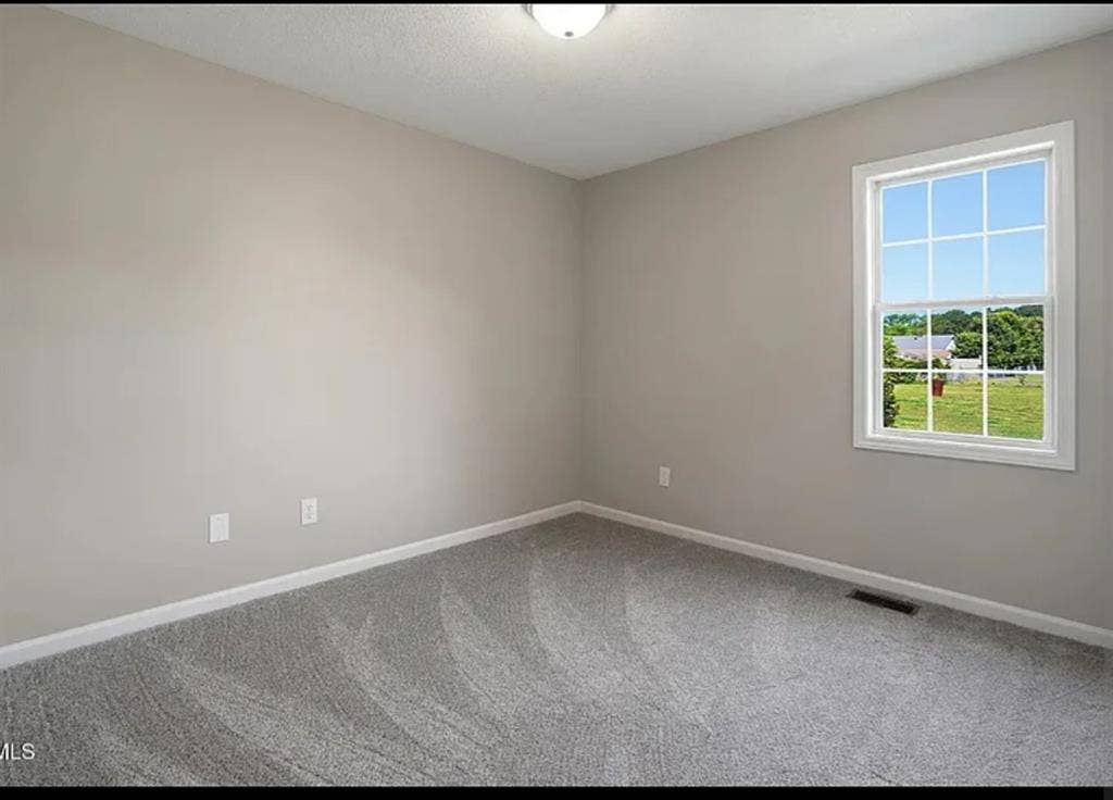 Need roommate
