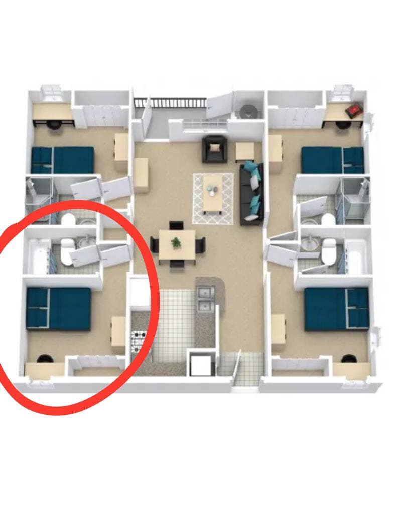 Apartment Lease Takeover $579/month