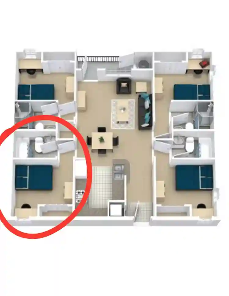 Apartment Lease Takeover $579/month