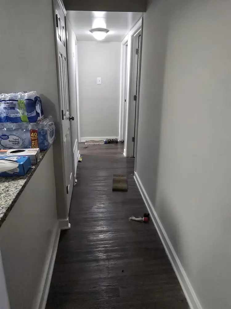 Looking for a Roommate