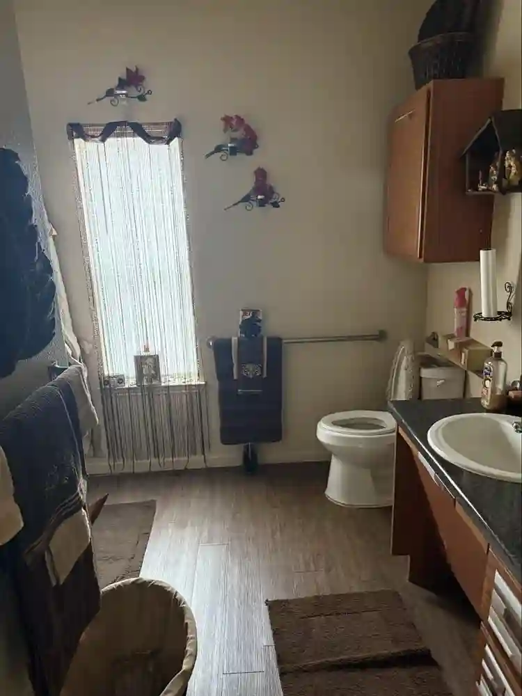 Need a roommate come to my home