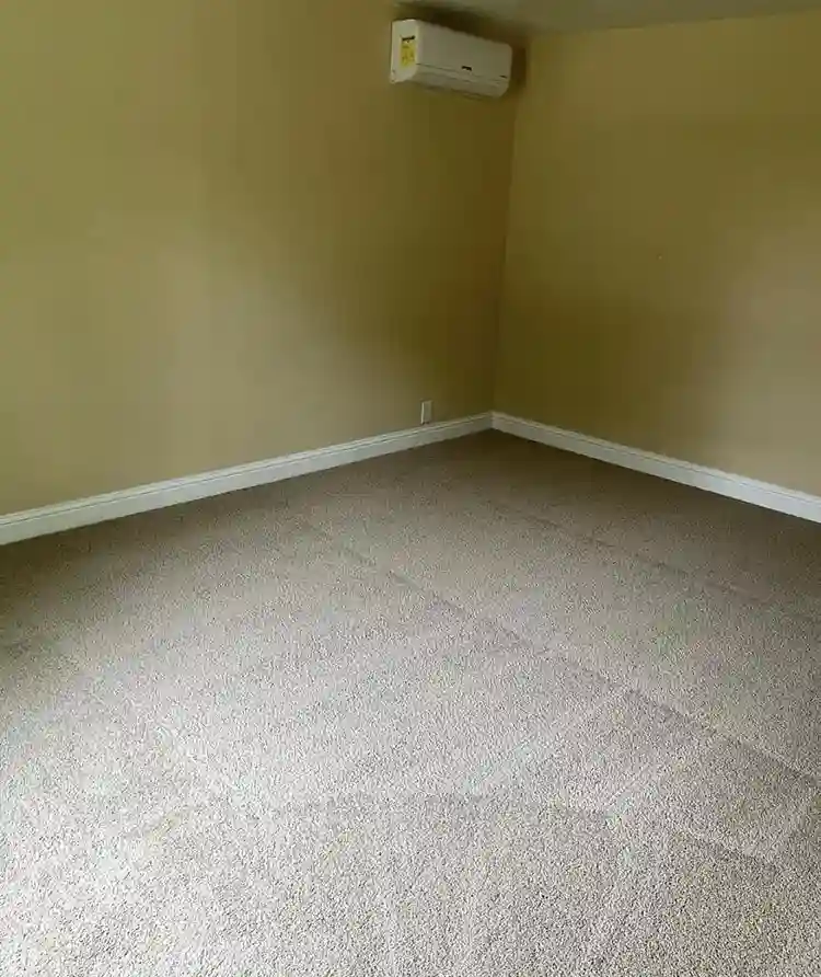 3 bedroom 1 bath house for rent