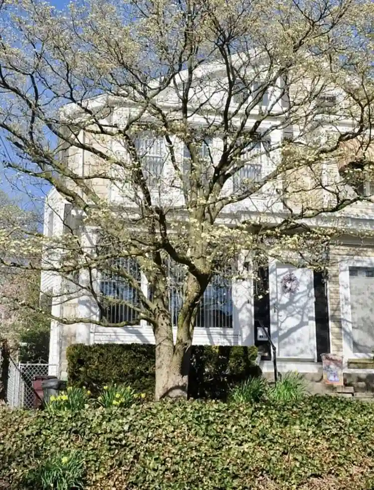 Room for Rent - Owner-Occupied Home