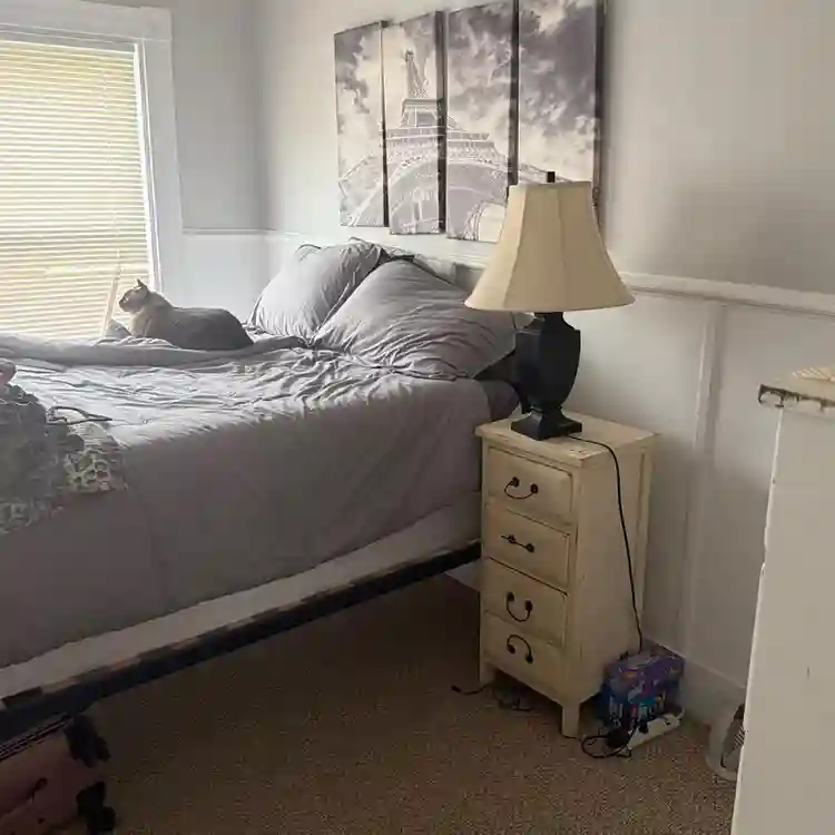 New Listing