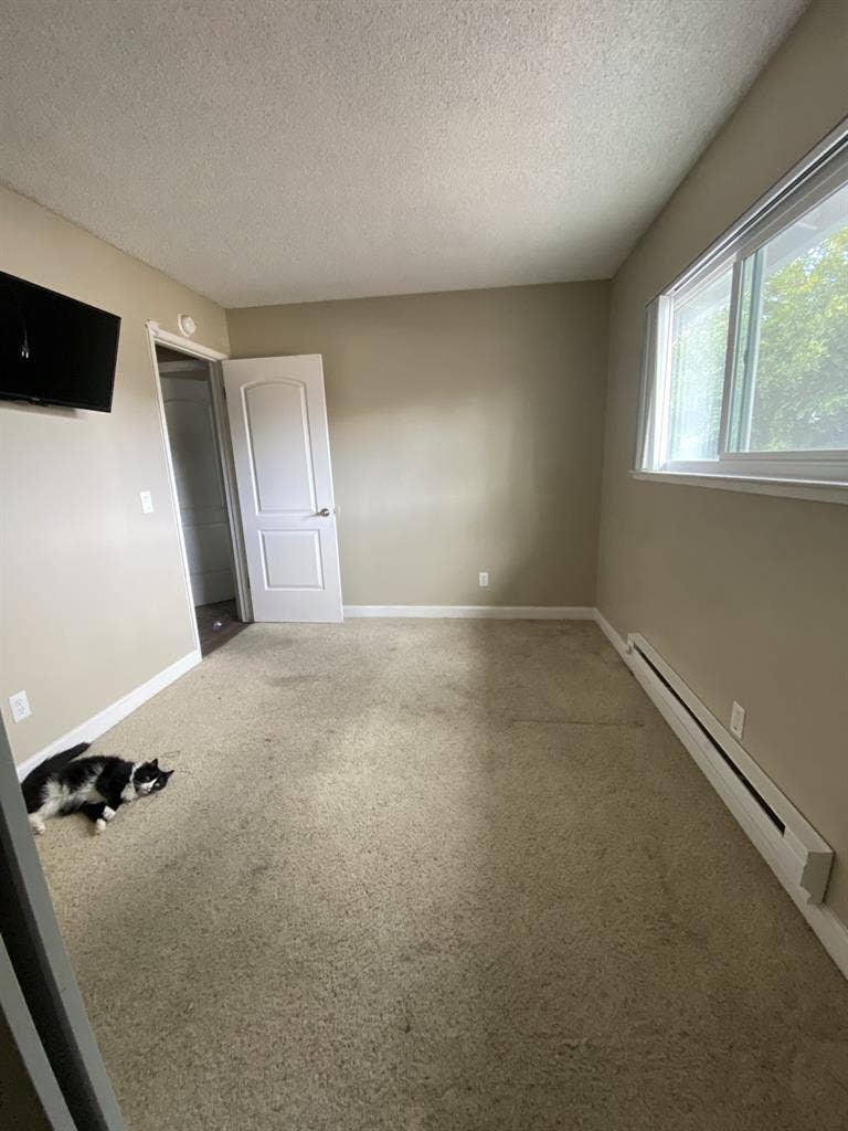 Looking for roommate in San Jose