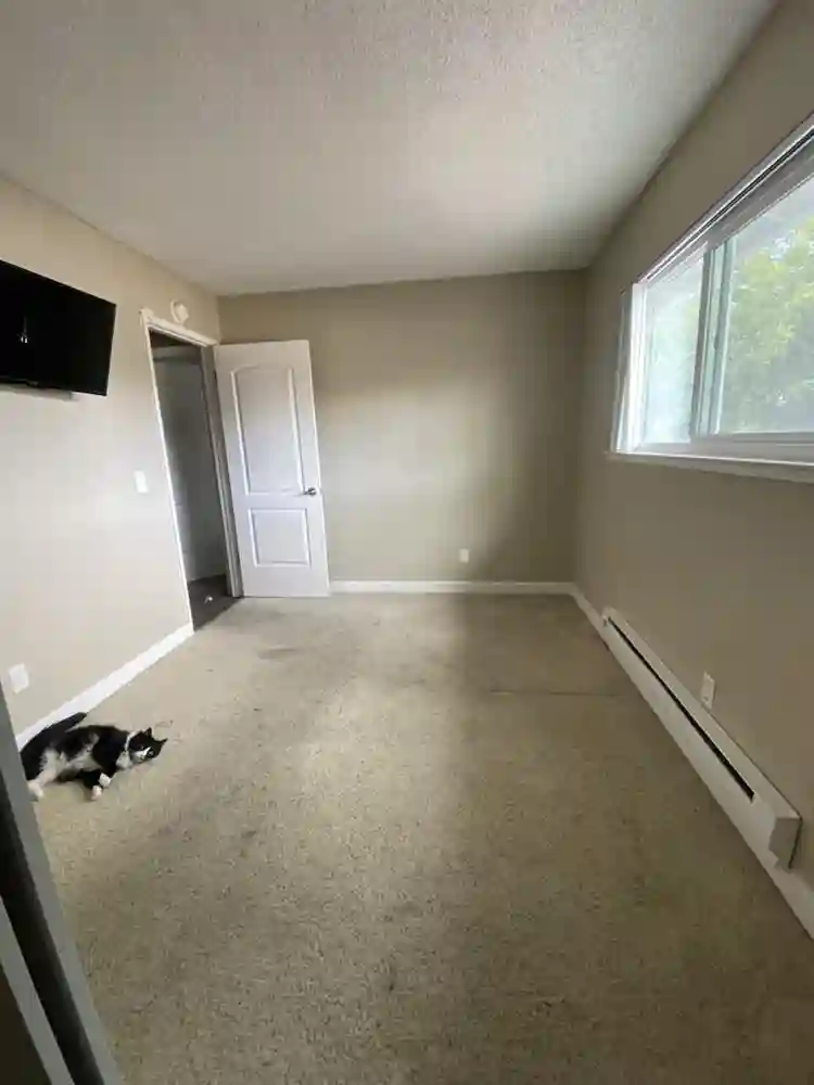 Looking for roommate in San Jose