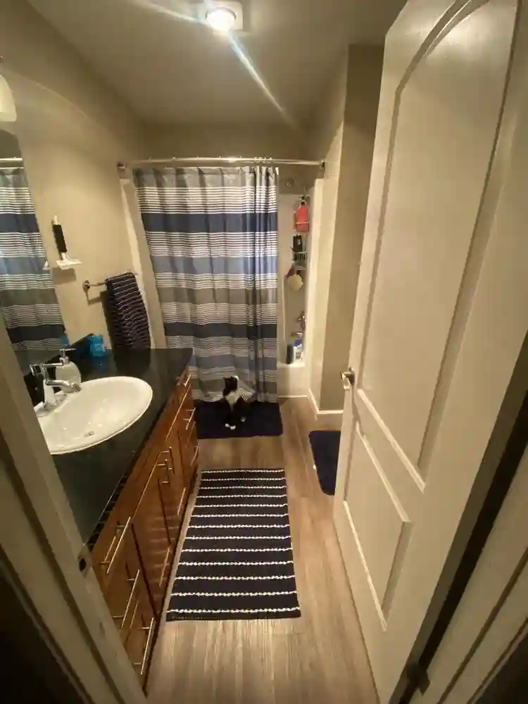 Looking for roommate in San Jose