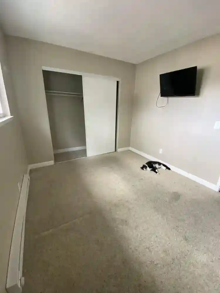 Looking for roommate in San Jose