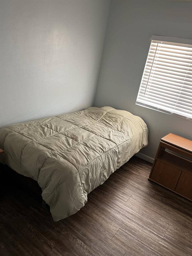 Felina rooms