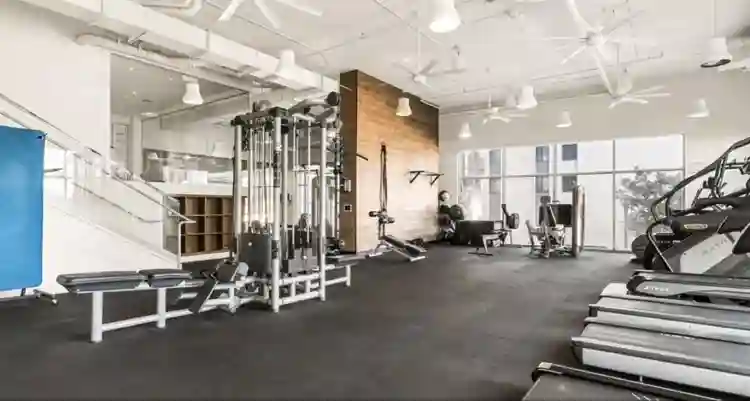 Roommate Wanted - Luxury Apartment
