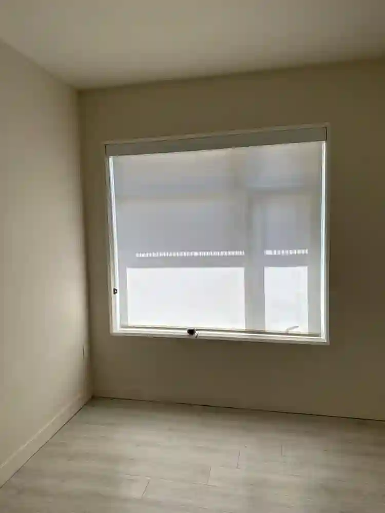 Roommate Wanted - Luxury Apartment