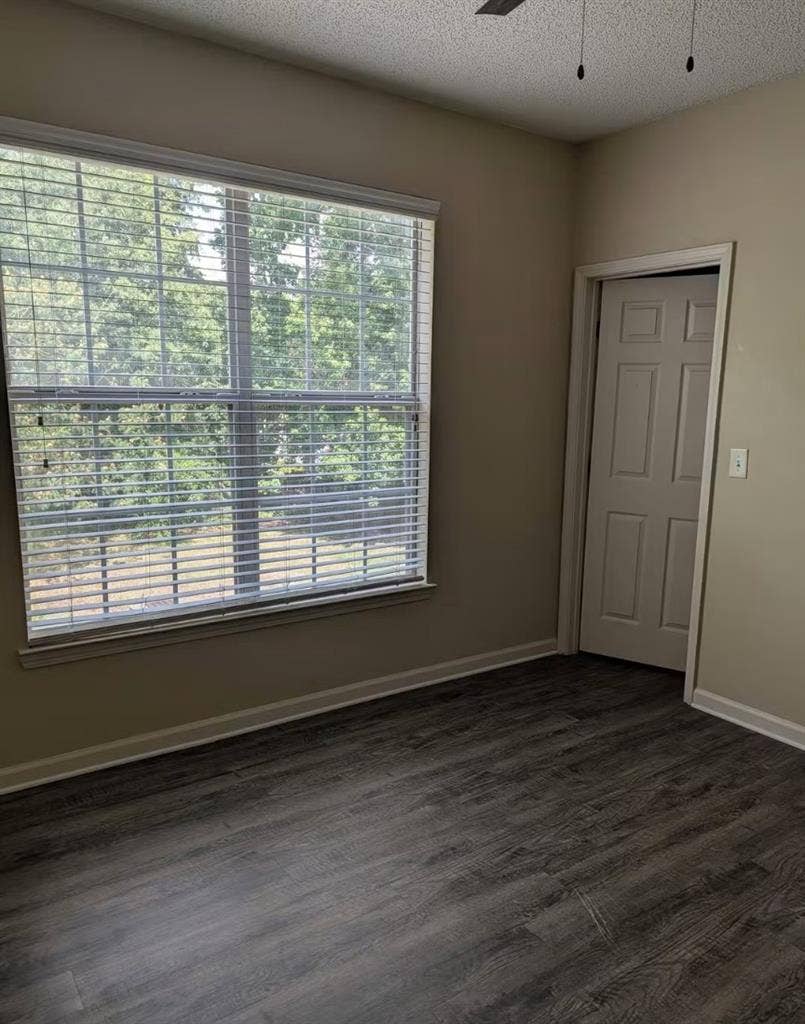Looking for a roommate