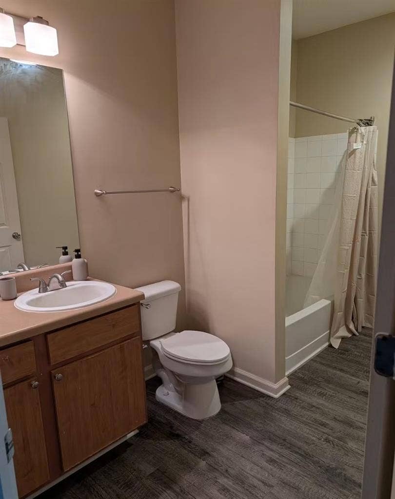 Looking for a roommate