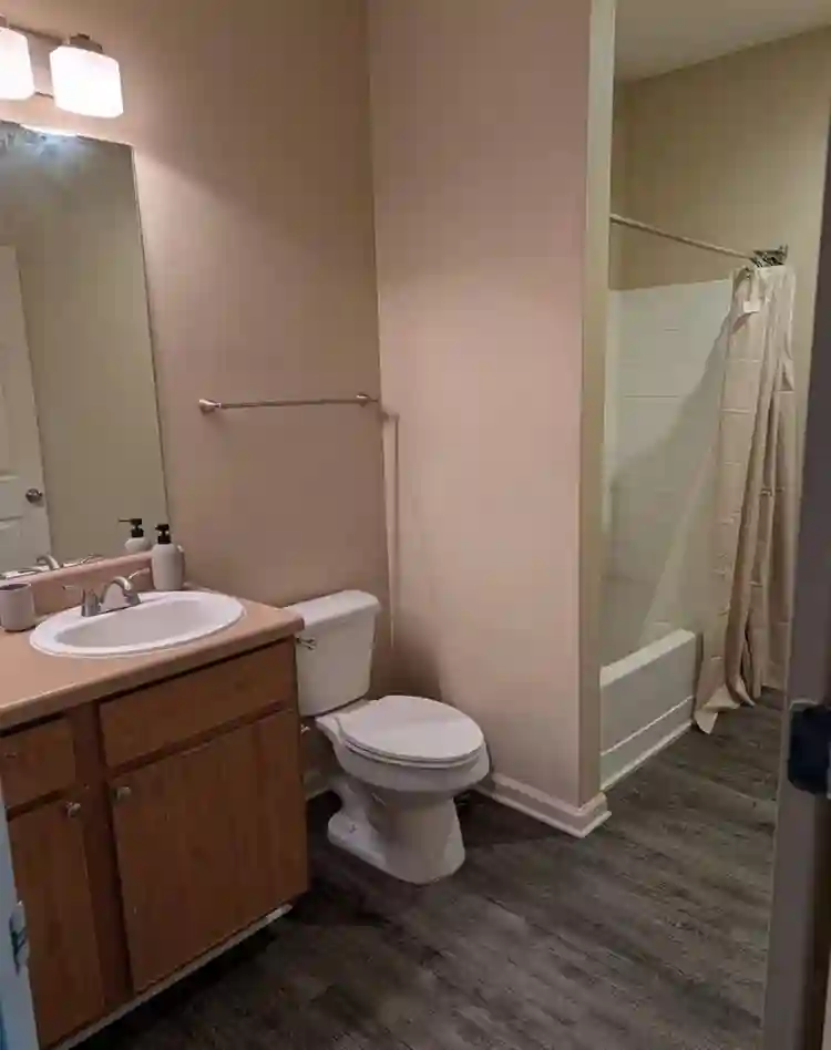 Looking for a roommate