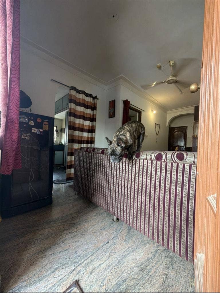 Flatmate for 2bhk