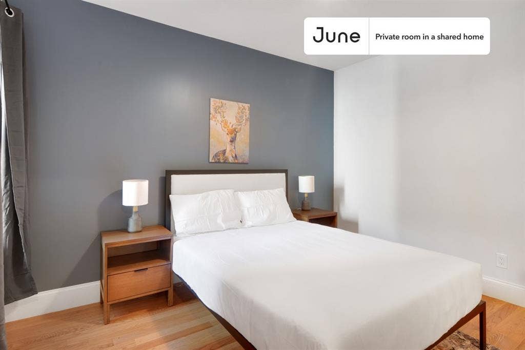 5 BR in Boston