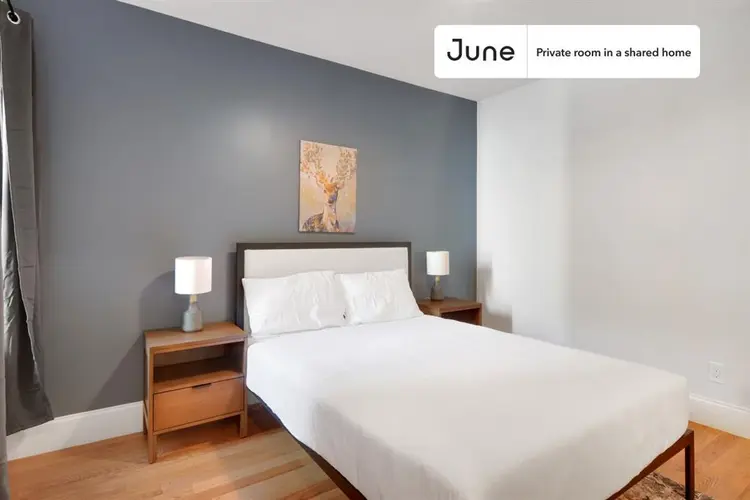 5 BR in Boston