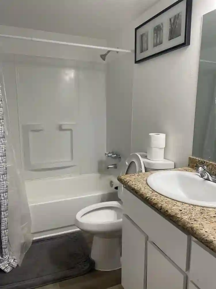 Looking for Quiet Roommate