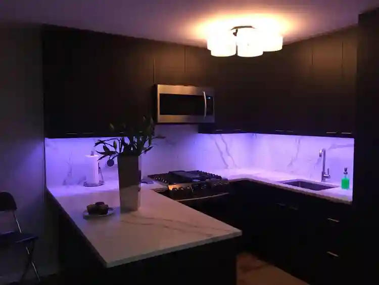 Manhattan Highrise Apartment Share