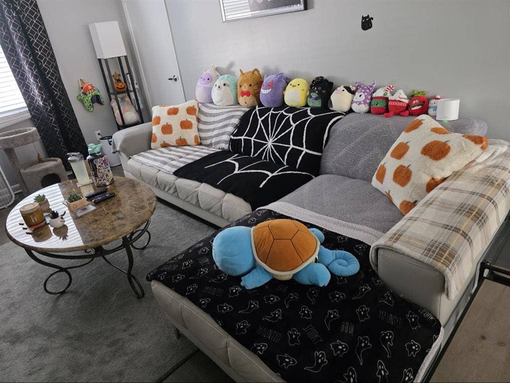 Medium Room in Orlando/Winter Park