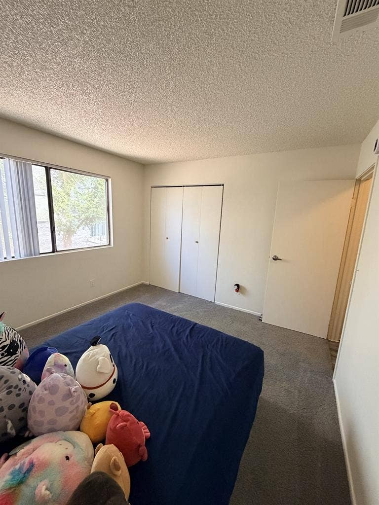 Centrally located room for rent