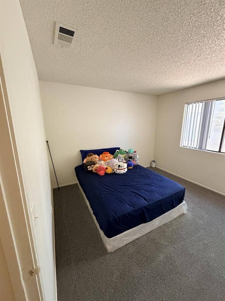 Centrally located room for rent