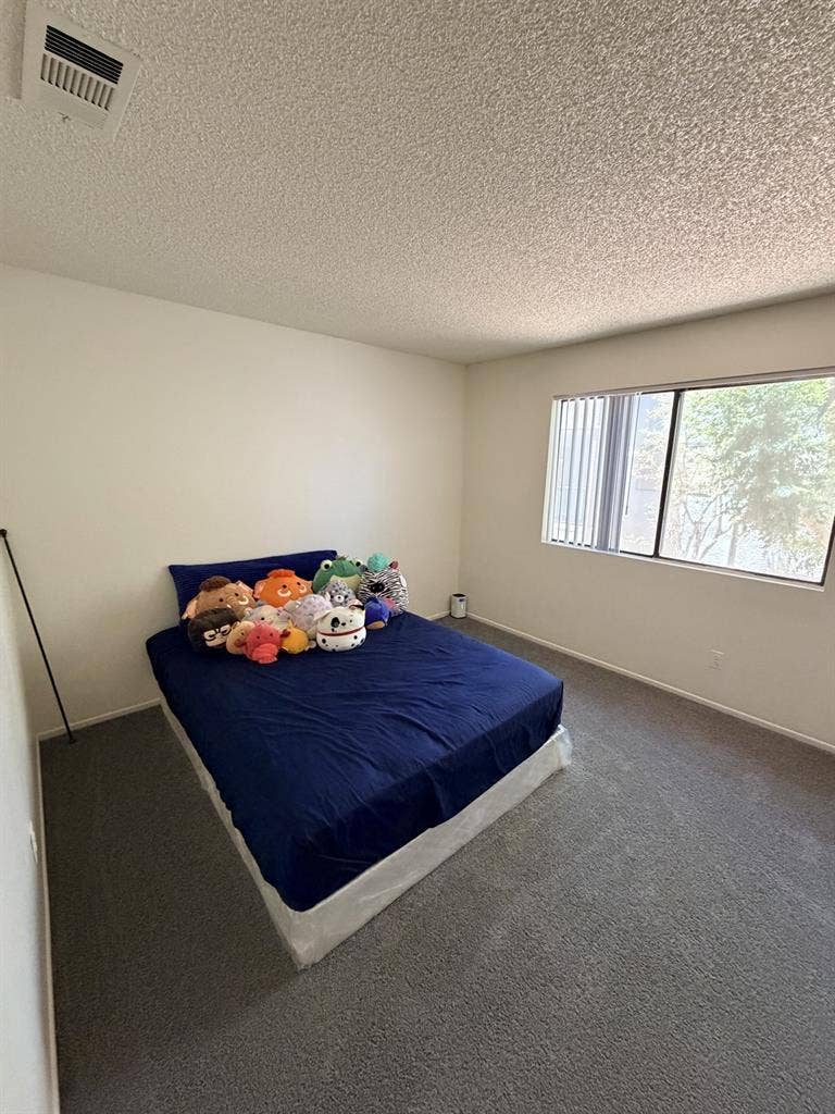 Centrally located room for rent