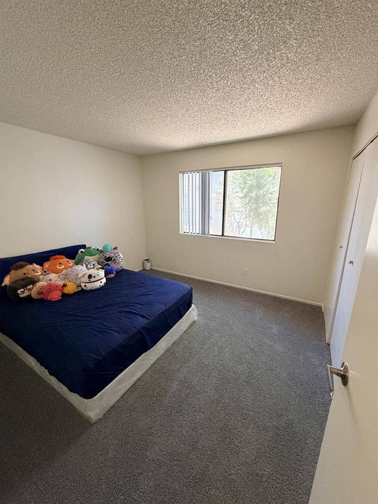 Centrally located room for rent