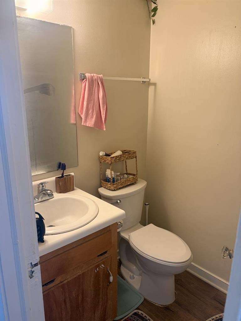 Room for Rent in the Fan.