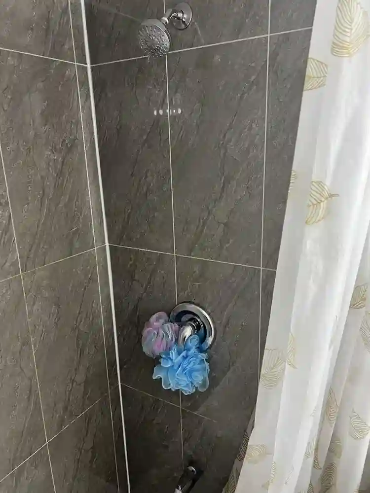 One Bedroom with ensuite washroom