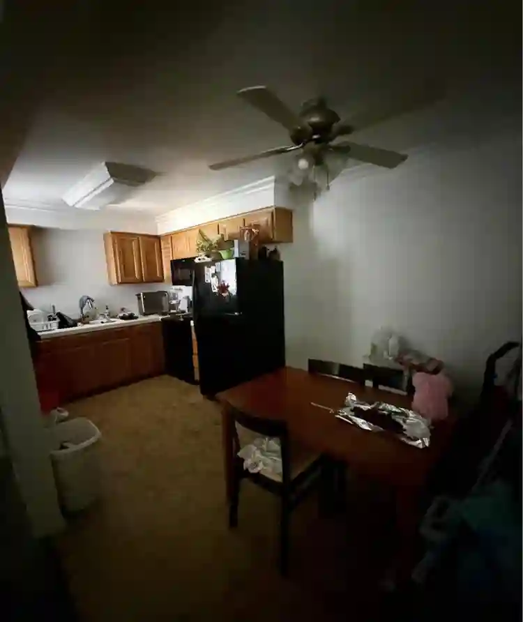Female only shared apartment