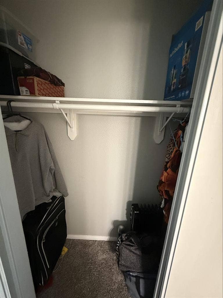 Female only shared apartment