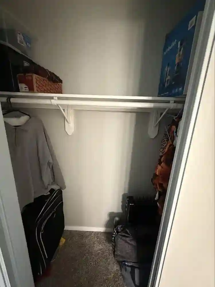 Female only shared apartment