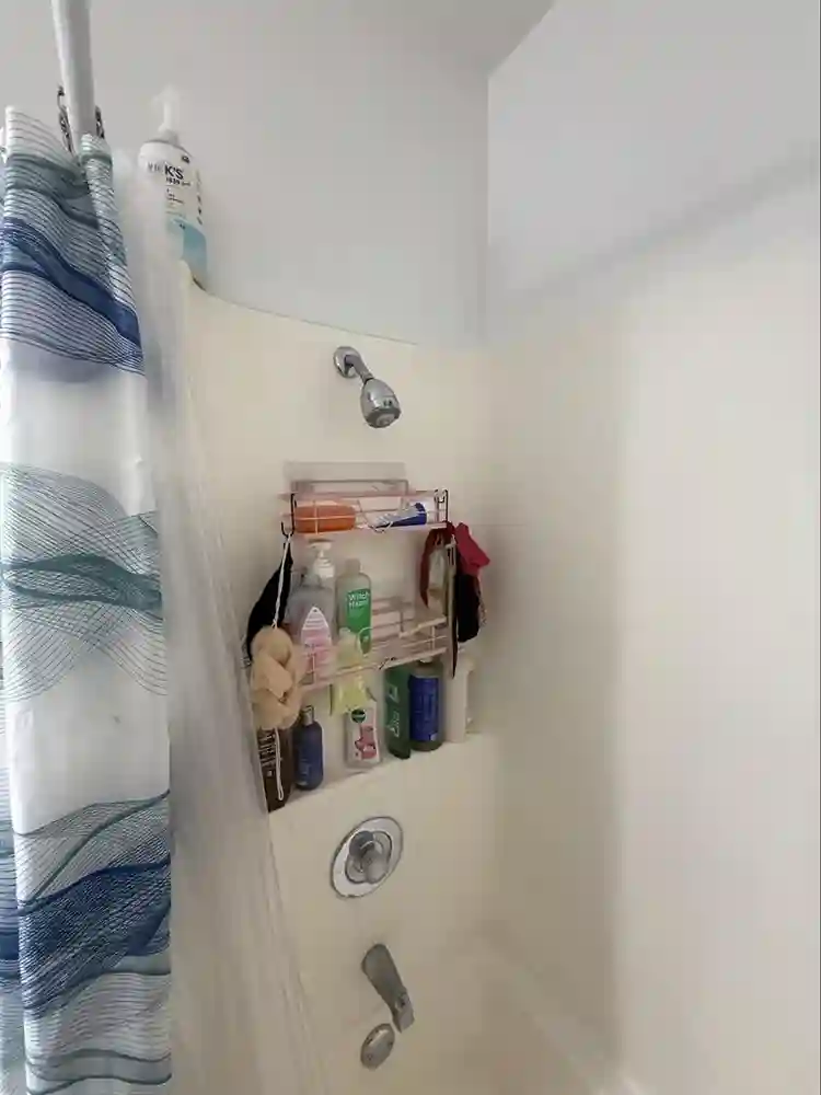 Female only shared apartment