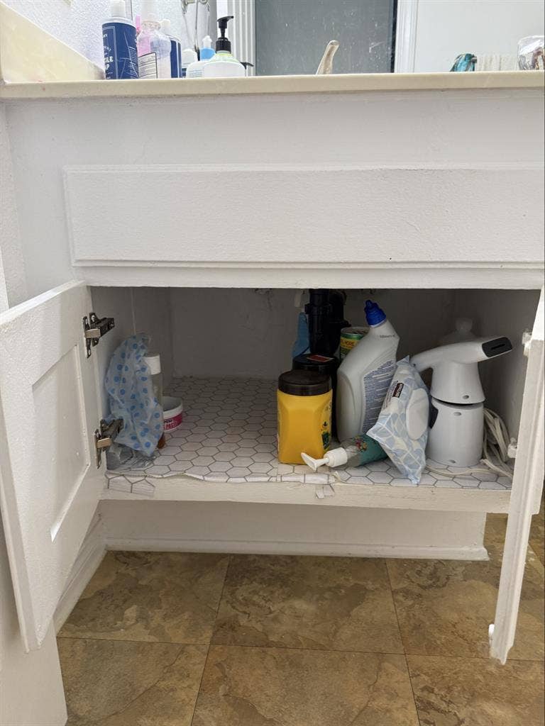 Female only shared apartment