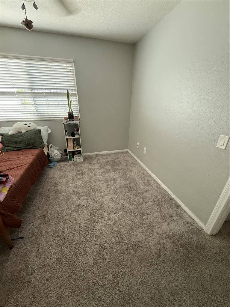 Female only shared apartment
