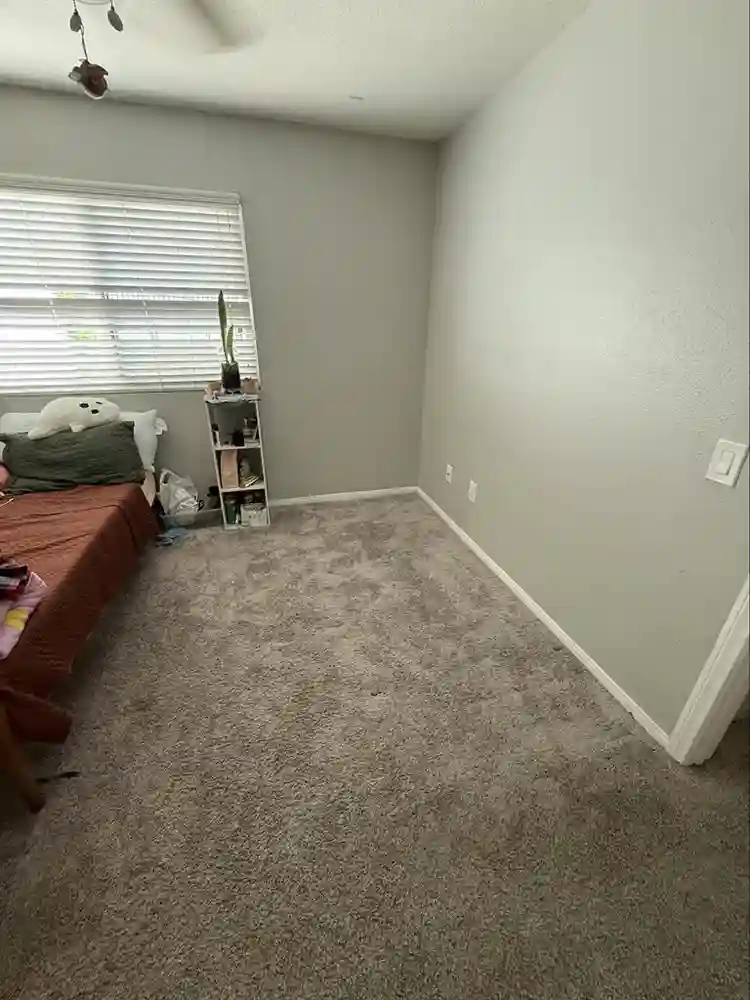 Female only shared apartment