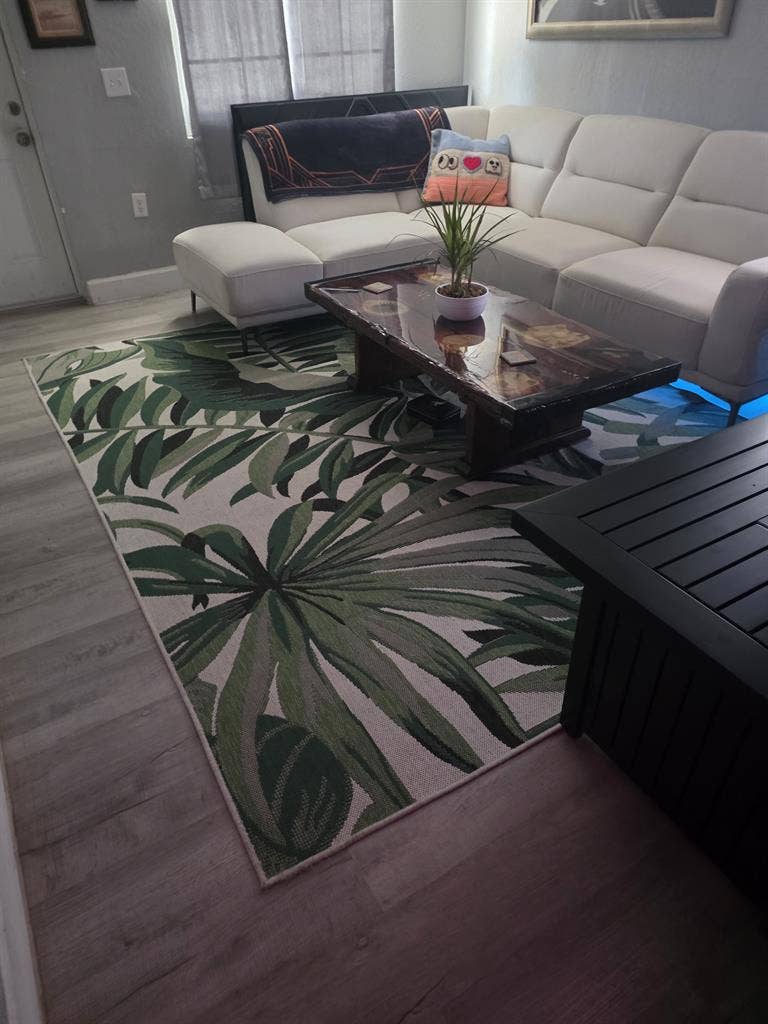 Looking for a chill roommate